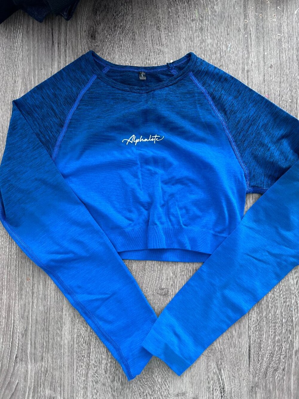 Alphalete Ombre Amplify Crop in Moonlight